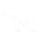 Dukie Lemur Center Logo