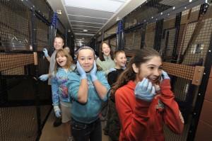 Visitors from the Duke School for Children react to the lemurs’ raucous chorus at the Duke Lemur Center. Photo by David Haring.