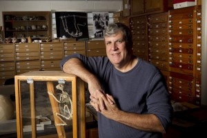 Paleontologist Gregg Gunnell leads a collection of more than 24,000 fossils, many of which provide important clues on primate evolution. Photo by Duke University Photography 