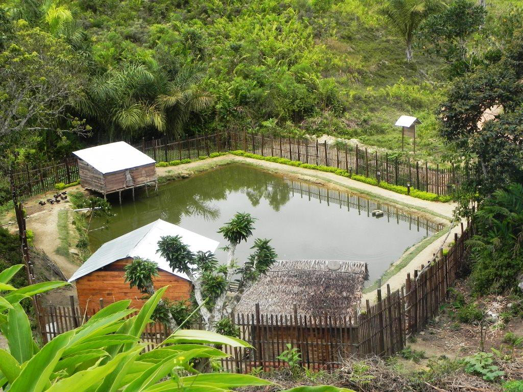 Photo of a fish pond in Madagascar