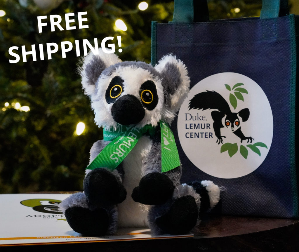 Plush ring-tailed lemur and adoption packet
