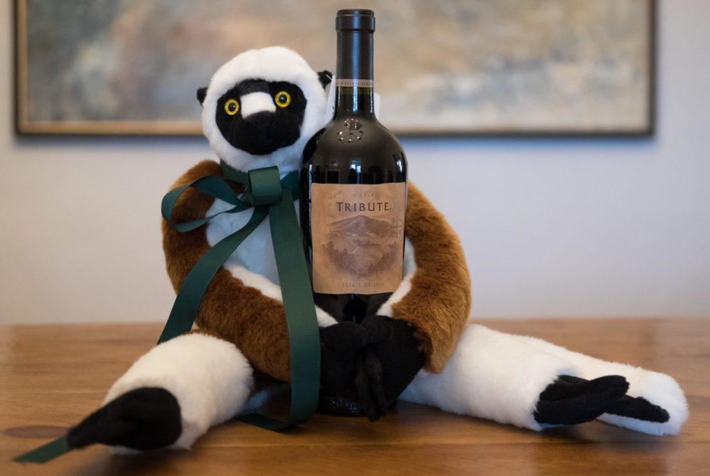 sifaka stuffed animal for sale