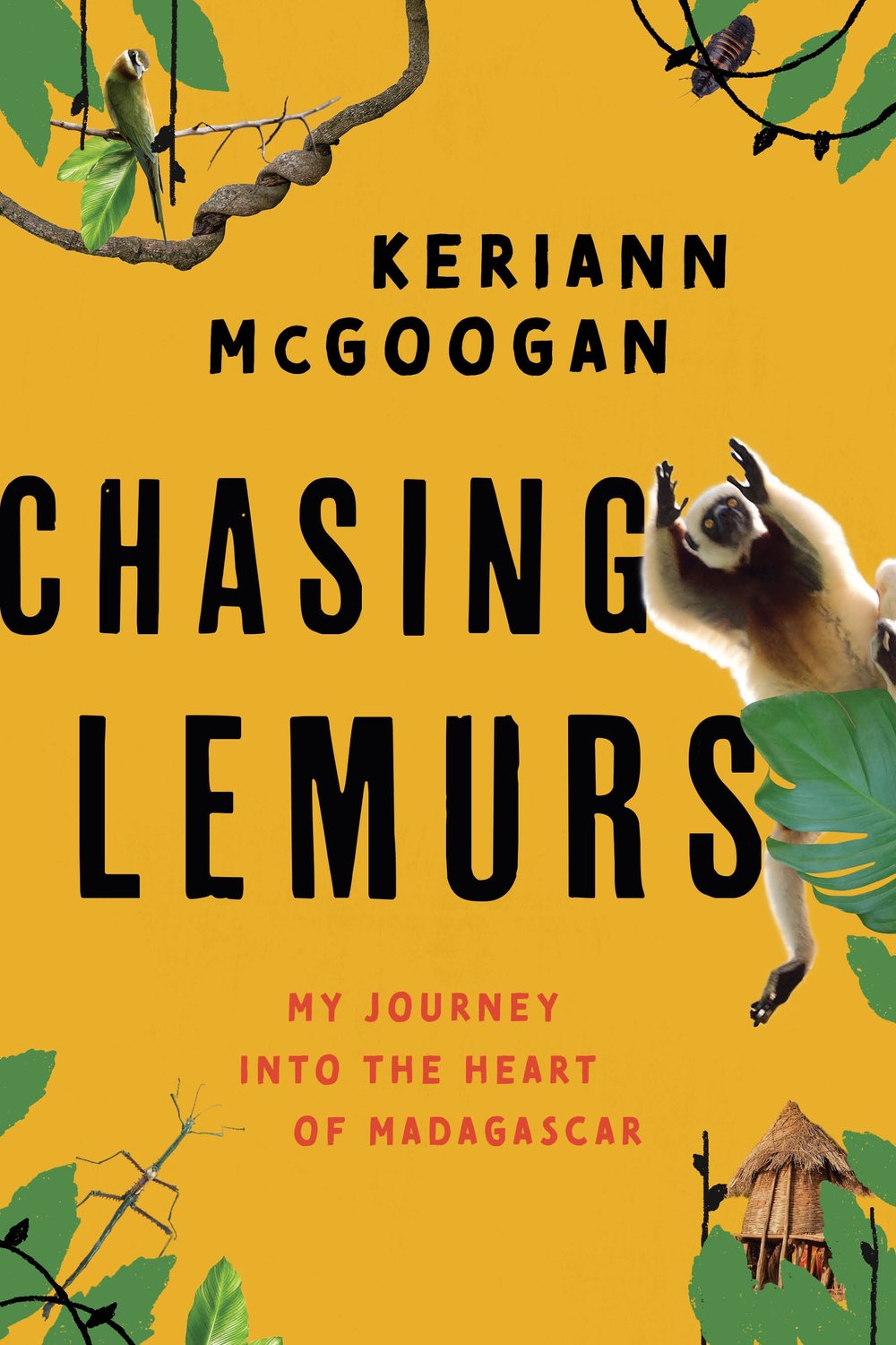 Book Cover of Chasing Lemurs