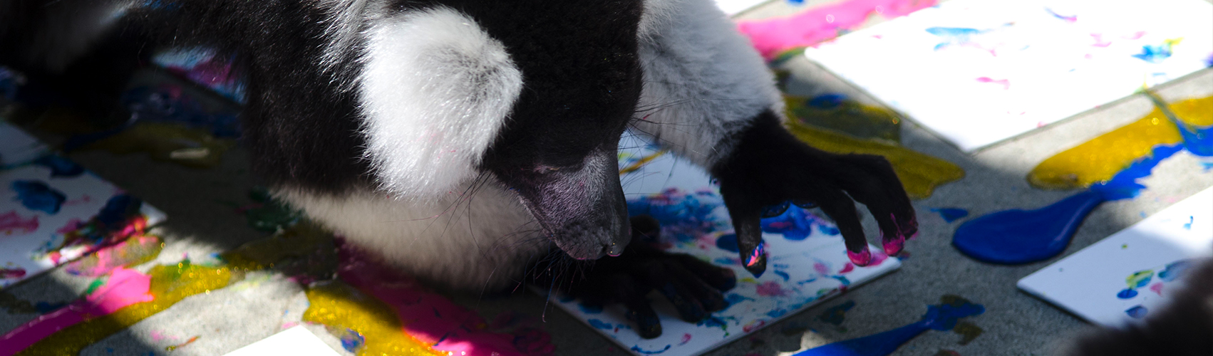 ruffed lemurs painting