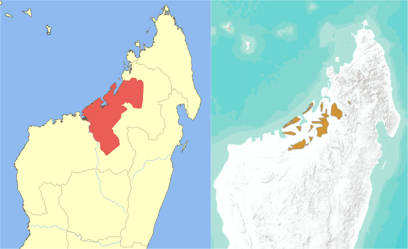 Updated range maps for sifakas showing fragmented habitat