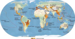 world map with biodiversity hotspots highlighted