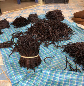 bunches of vanilla pods grouped on a tablecloth