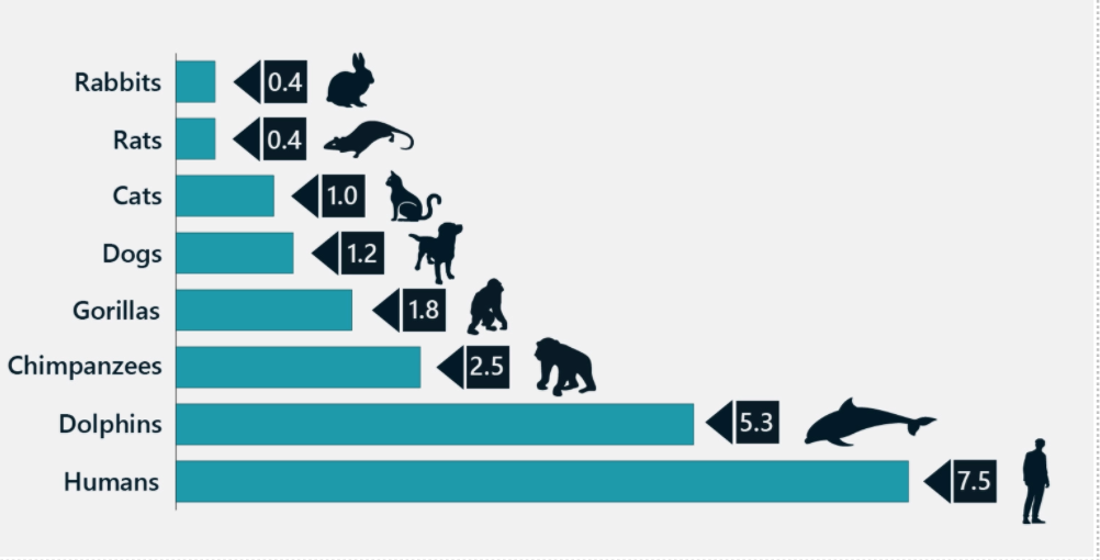 Like humans, apes and crows, dolphins use tools to explore the parts others  cannot reach