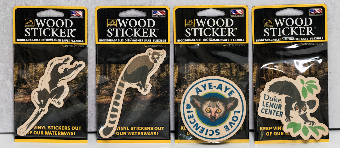 Wooden stickers in four designs: sifaka, ring-tail, "aye-aye love science," and DLC logo