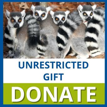 Make an unrestricted gift to support the Duke Lemur Center