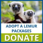 Adopt a Lemur Packages
