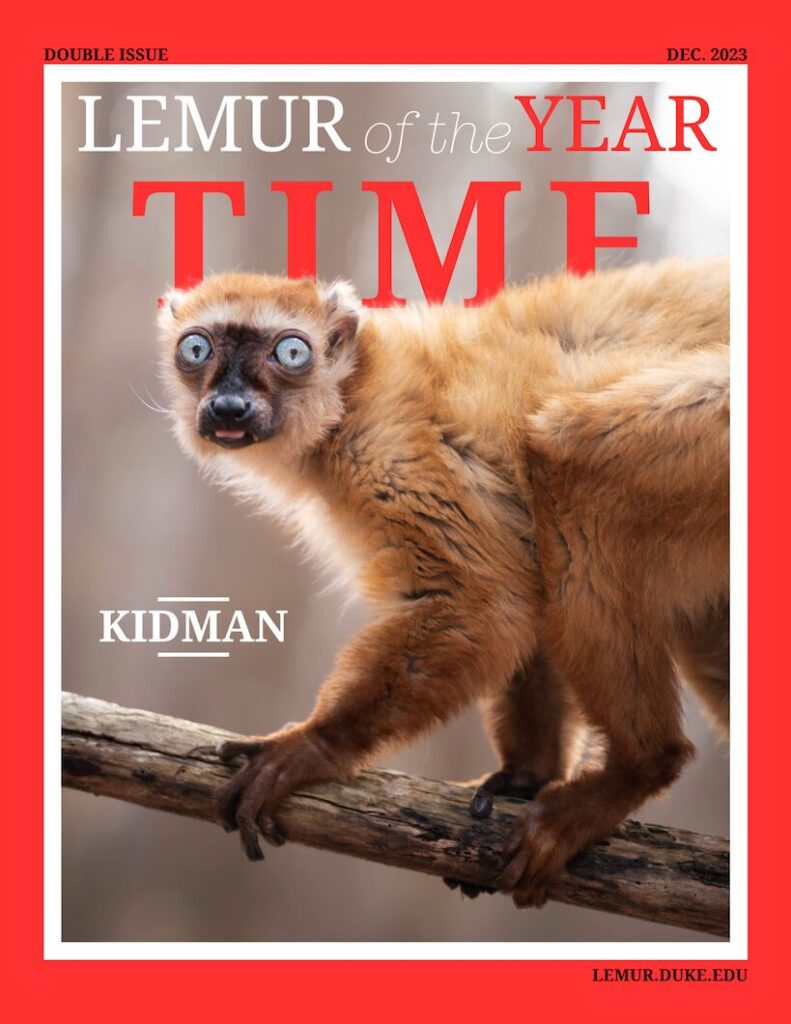 Mock "Time Person of the Year" magazine cover featuring blue-eyed black lemur Kidman