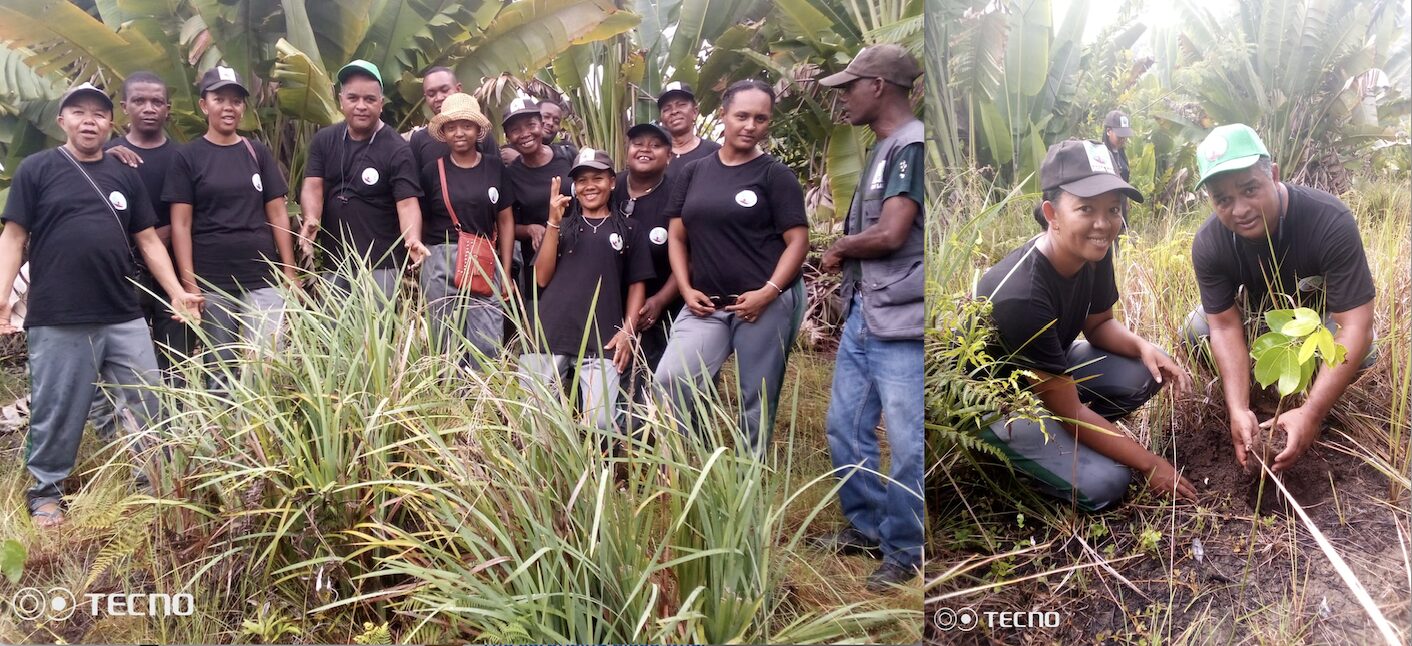 A group photo of members of the Women for Environment and Development (left); a group member planting a tree as part of a reforestation project.