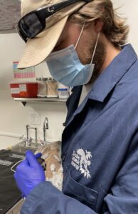 Staff member wearing a blue coat, a hat, and a face mask cradles a tiny infant lemur against a heat pack