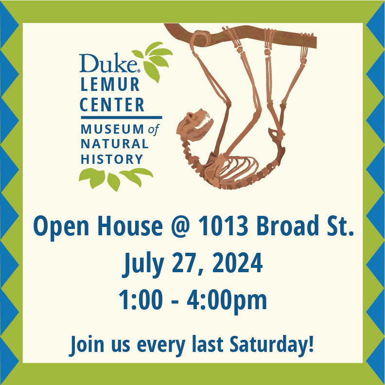 Flyer with DLCMNH logo and text that reads "Open House @ 10:13 Broad Street, July 27, 1:00-4:00 PM"