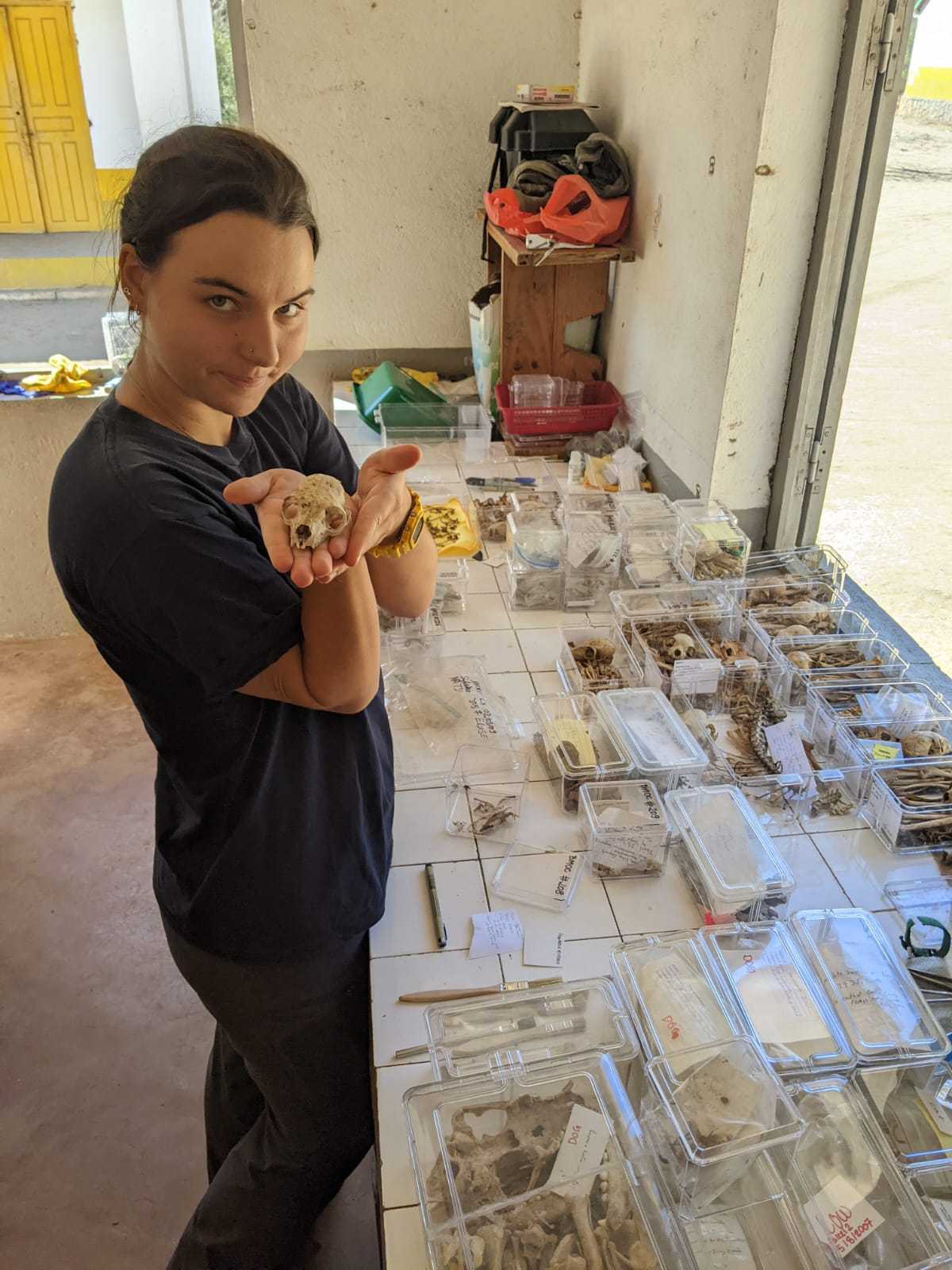 A student wearing a dark t-shirt and pants leans against a workbench and holds a lemur skull in her palm.