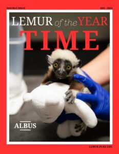 TIME Magazine style cover, with infant sifaka Albus and text "Lemur of the Year TIME"