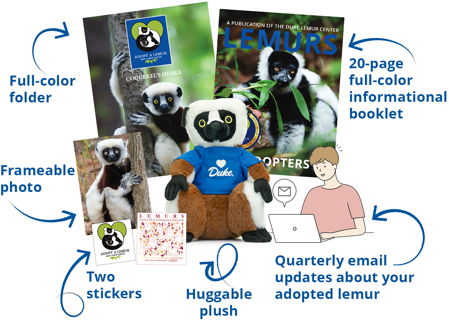 Image of Adopt a Lemur package components, showing a plush lemur, booklet, folder, framable photo, stickers, and a graphic of a person receiving an email update.
