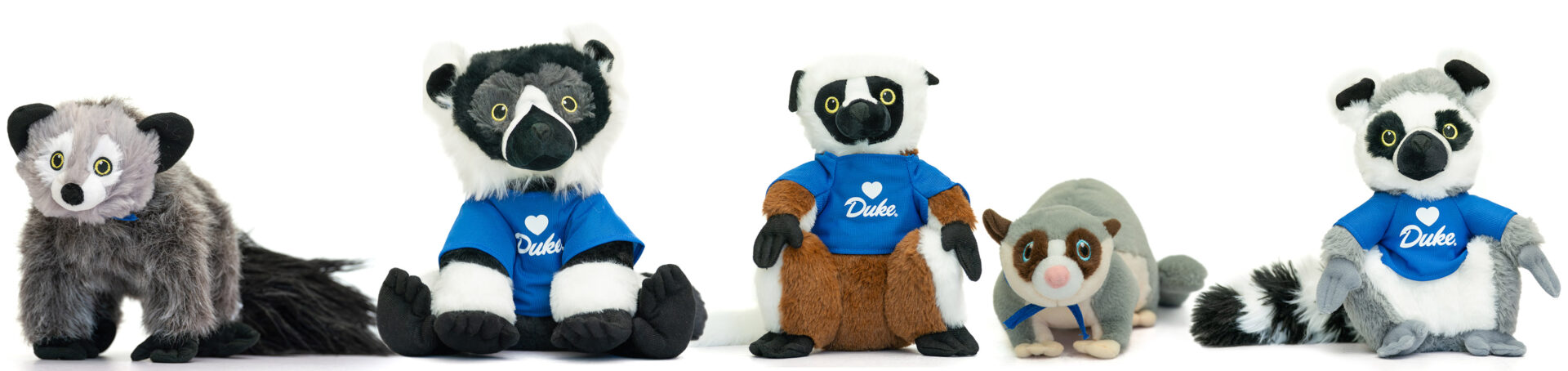 Photos of all five of the new lemur plushes, set against a white background.