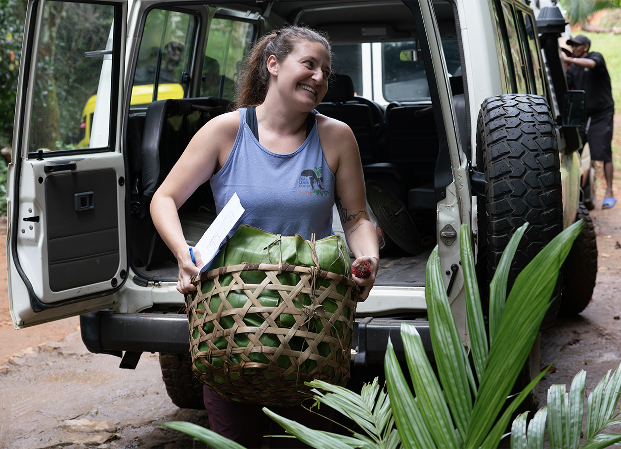 A DLC husbandry technician unloads a basket of greens from the back of an SUV