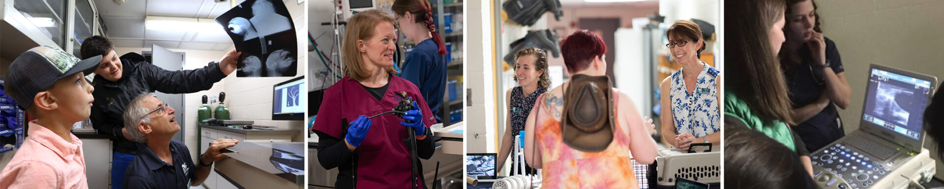 Series of five images showing DLC staff interpreting xrays and ultrasounds, explaining equipment, and discussing positive reinforcement training with guests