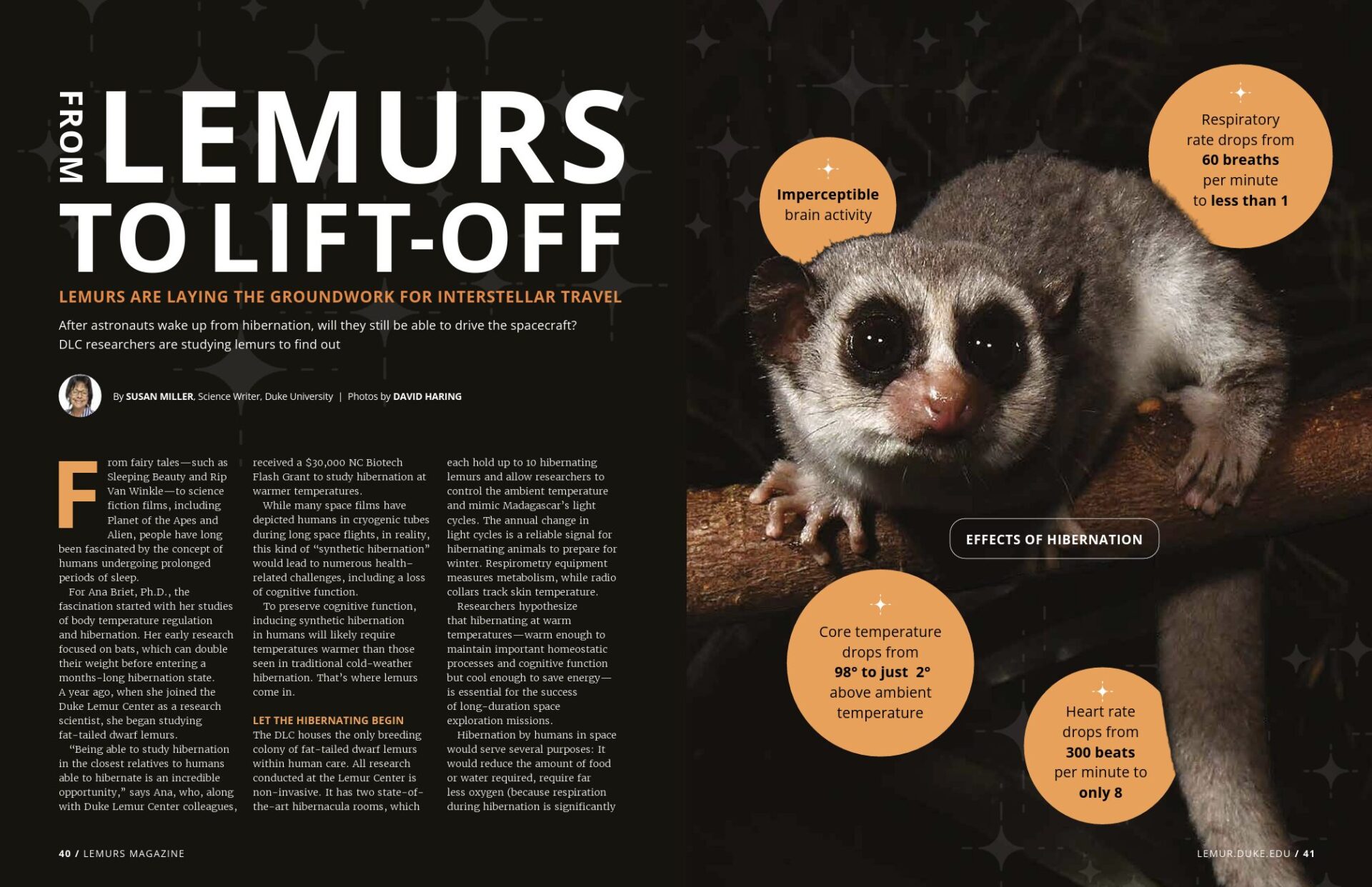 A magazine spread showing a fat-tailed dwarf lemur on a black background, and the text "From Lemurs to Lift-off"