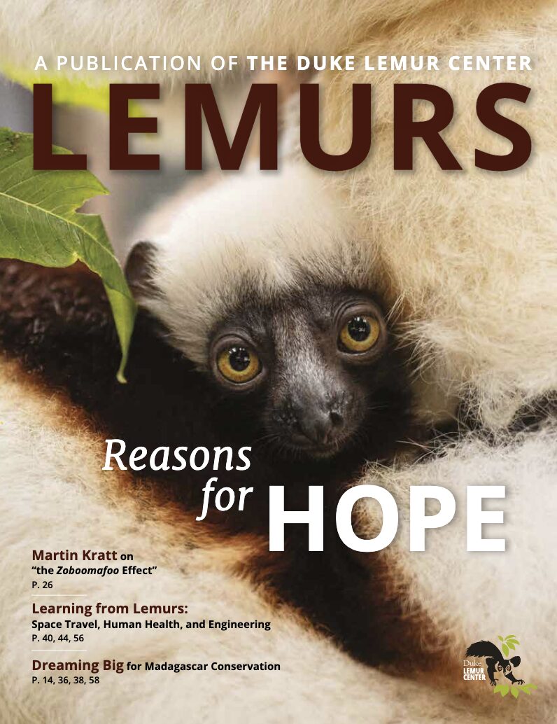 A magazine cover features an infant sifaka with the text "LEMURS Magazine, Reasons for Hope"