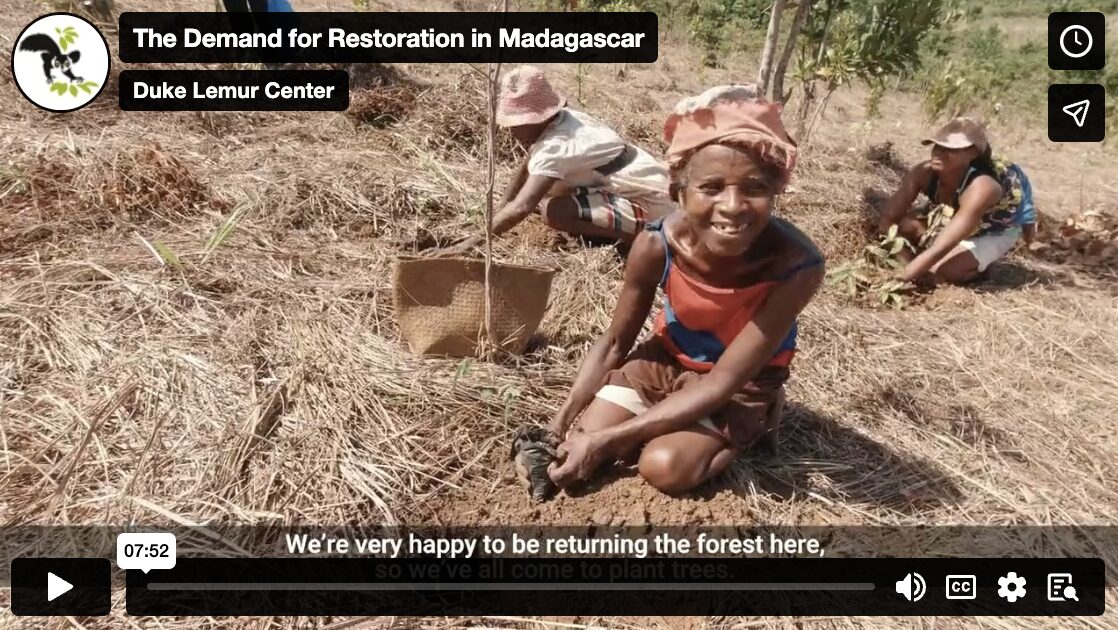 A video thumbnail showing a woman kneeling and planting a tree while smiling at the camera