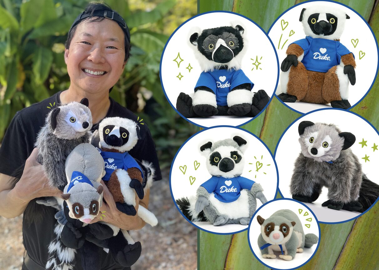 Actor and Duke alum Ken Jeong with an armful of plush lemurs