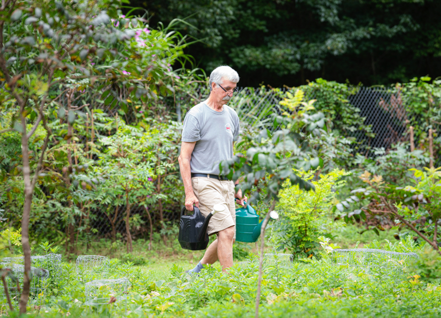 Charlie Welche carries two watering cans, one in each hand, though the Food Forest