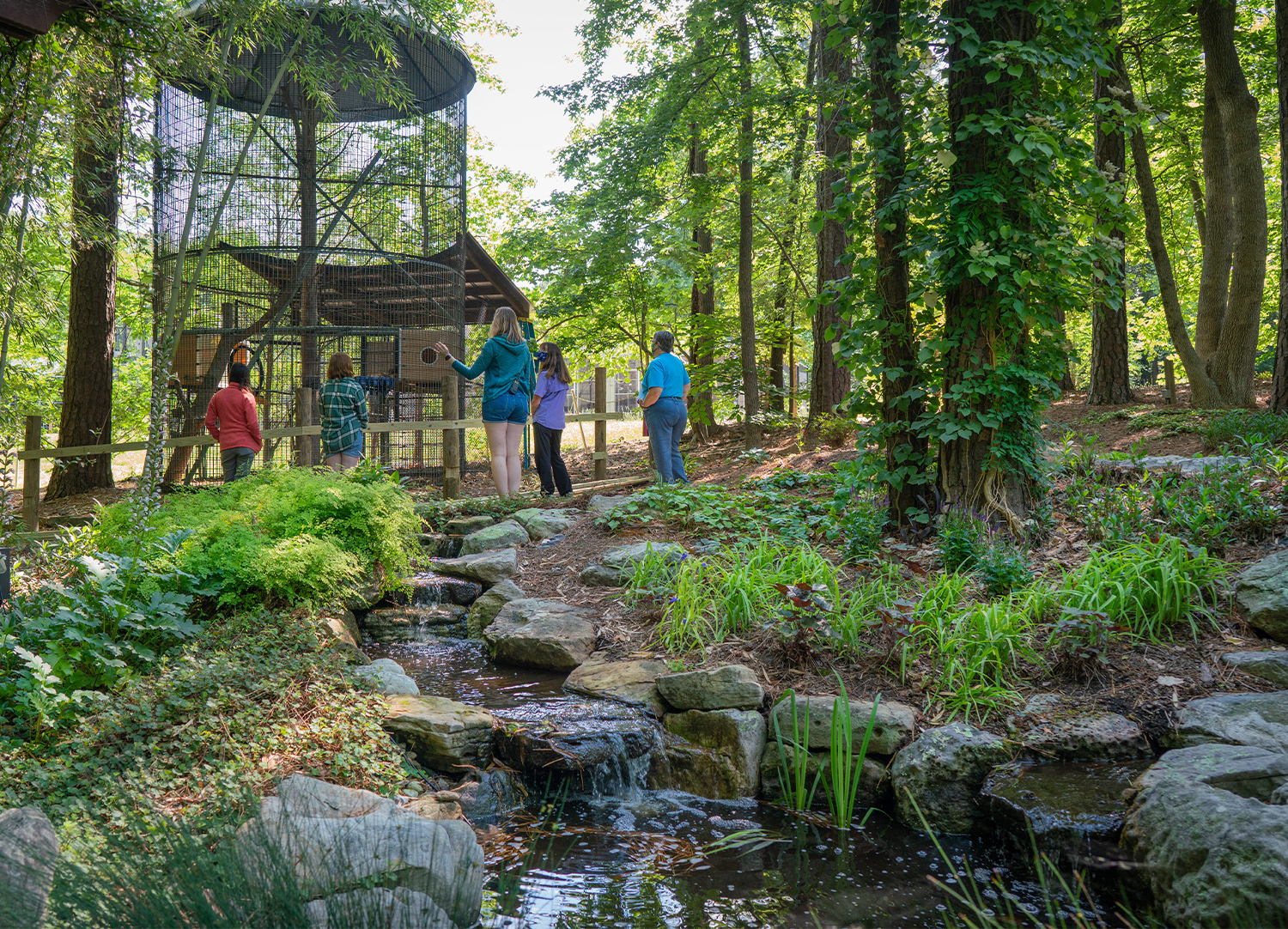 View of the public tour path, showing five people on a guided tour, a lemur enclosure, and a bubbling brook