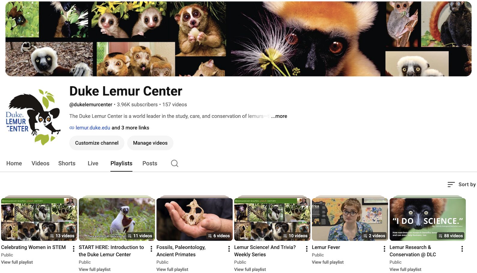 A screenshot showing a collage of playlists on YouTube, including "Women in STEM," "Fossils, Paleontology, and Ancient Primates," and "Lemur Research and Conservation"