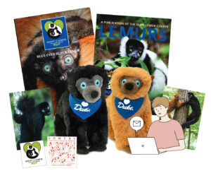 Assortment of items on a white background: male and female blue-eyed black lemur plushes wearing Duke bandanas, postcards, stickers, a booklet, and a folder, all featuring lemurs.