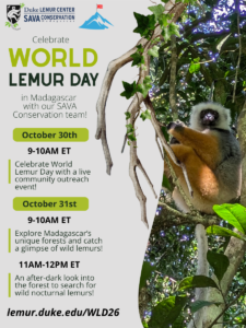 Stylized flyer with all of the above text and a photo of a sifaka lemur