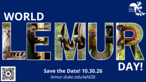 World Lemur Day! Save the Date! 10.30.26. with a URL to this page