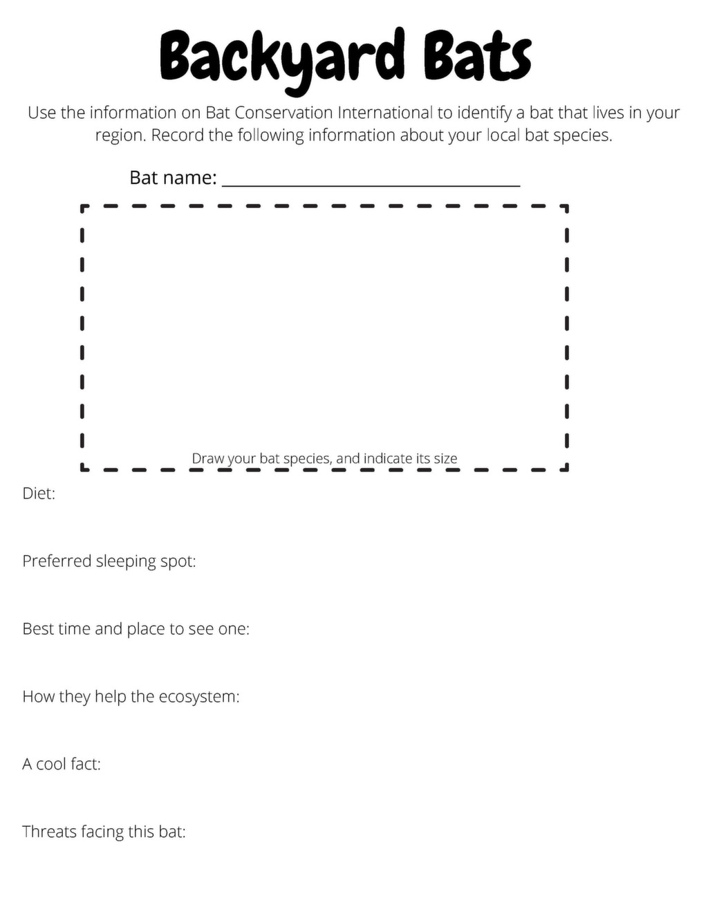 Bat Info Page